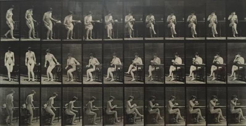 Eadweard J. MUYBRIDGE