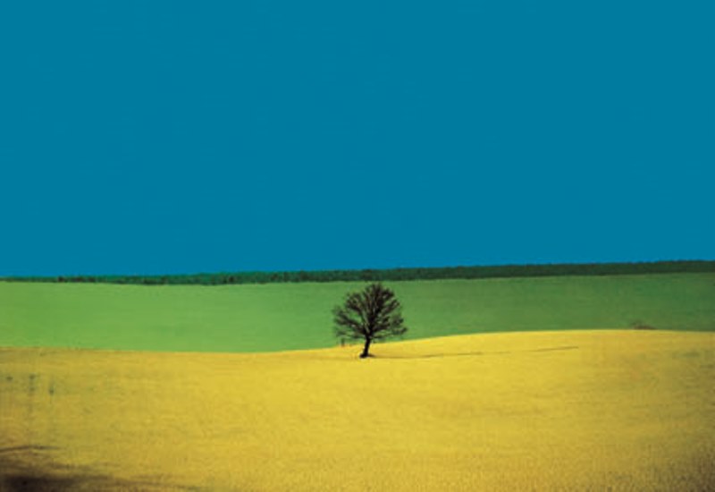 Franco FONTANA