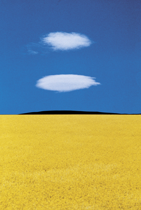 Franco FONTANA