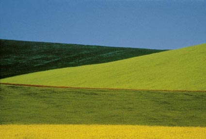 Franco FONTANA