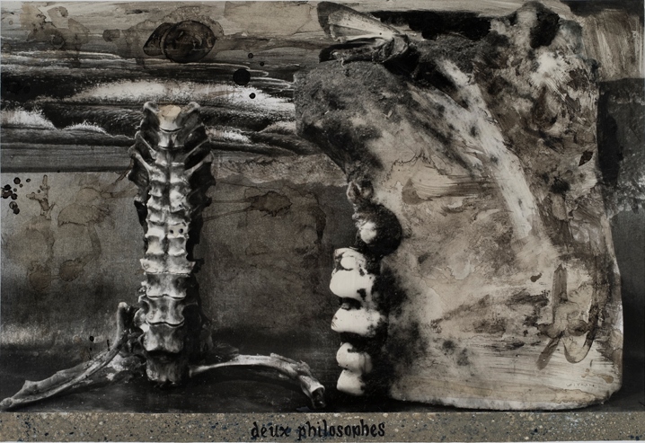 Joel-Peter WITKIN