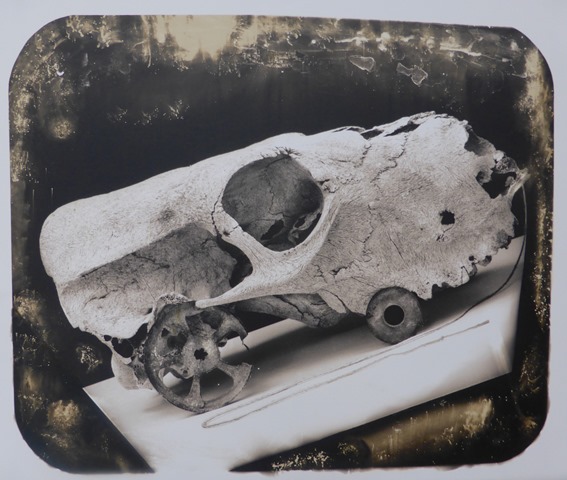 Joel-Peter WITKIN