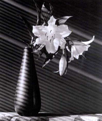 Robert MAPPLETHORPE