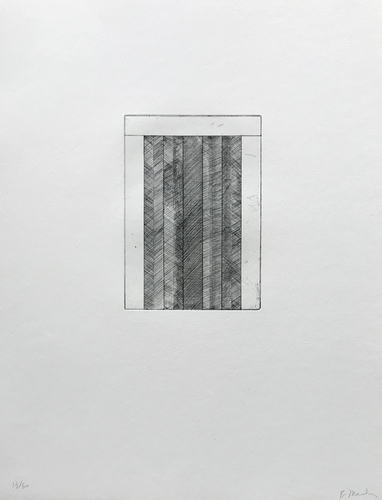 Brice MARDEN