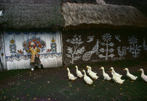 Bruno BARBEY