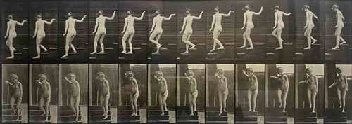 Eadweard J. MUYBRIDGE