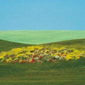 Franco FONTANA