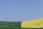 Franco FONTANA