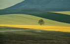 Franco FONTANA