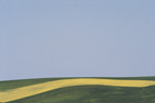 Franco FONTANA