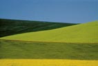 Franco FONTANA