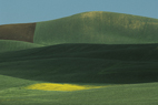 Franco FONTANA