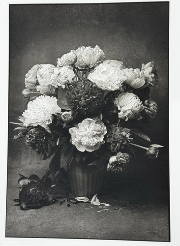 Jan SCHLEGEL