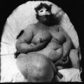 Joel-Peter WITKIN