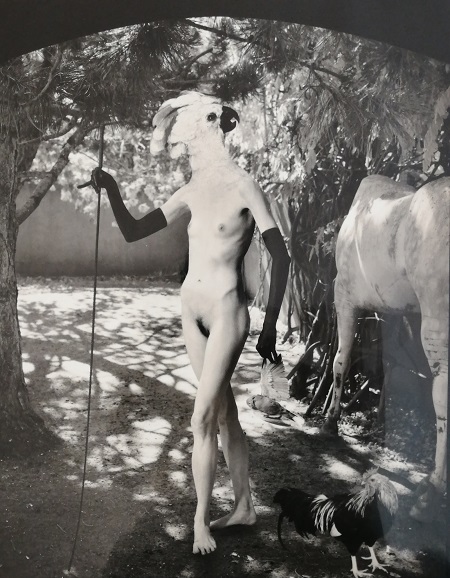 Joel-Peter WITKIN