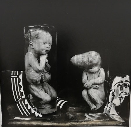 Joel-Peter WITKIN