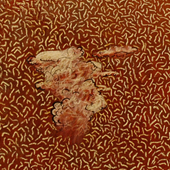 Stephen EASTAUGH