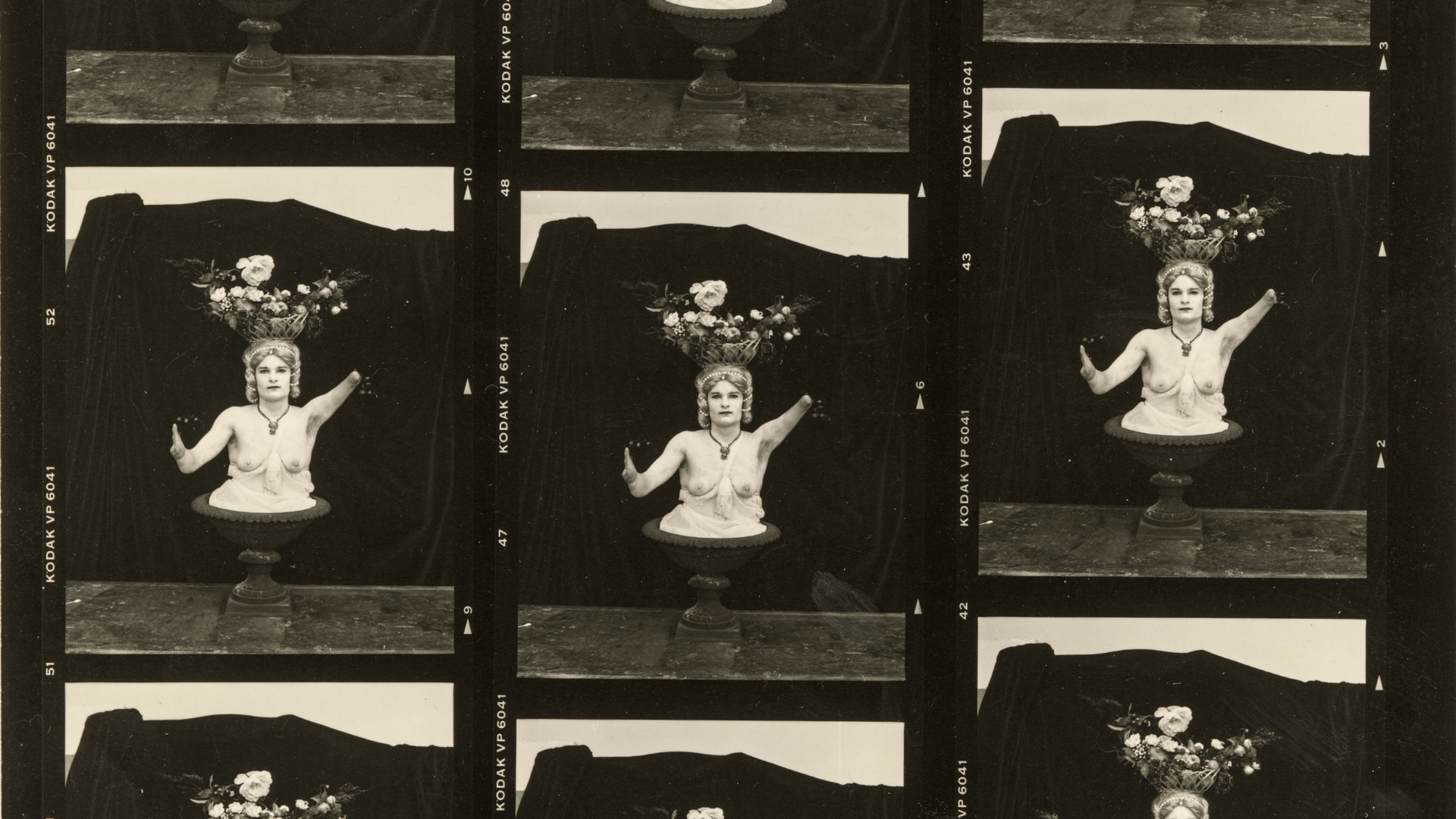 vernissage | the untold life of the photograph